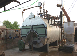 Wood or Coal Fired IBR Steam Boiler